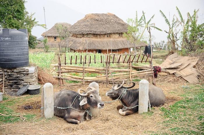 Hananoie Kaski ภายนอก รูปภาพ